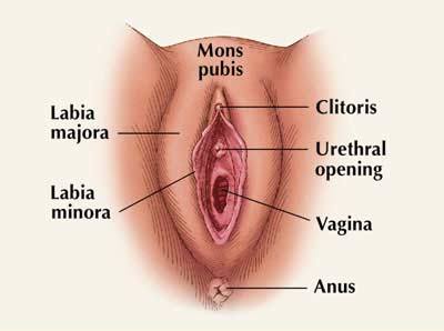 Apa yang menyebabkan kesakitan vulvar?