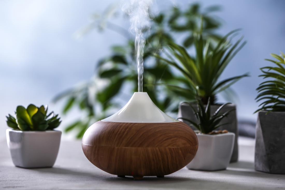 Humidifier dan tumbuhan.