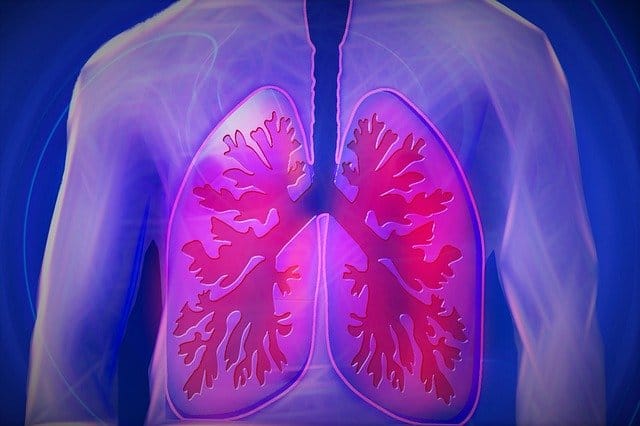 Cara semulajadi untuk membersihkan paru-paru anda
