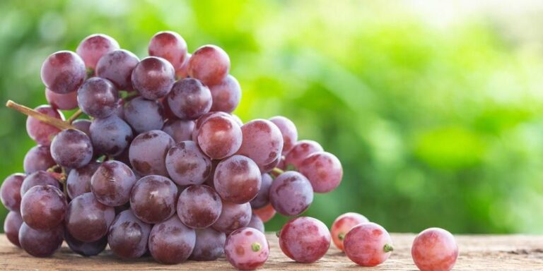 Anggur dan kebaikannya terhadap kesihatan manusia